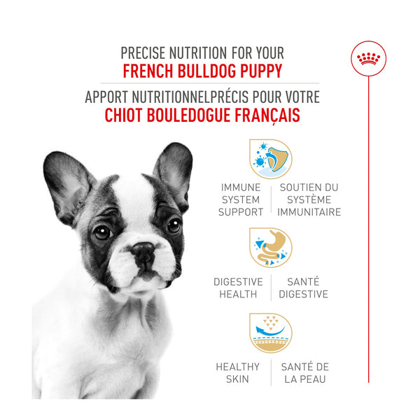 BOULEDOGUE FRANÇAIS CHIOT – nourriture sèche pour chiots