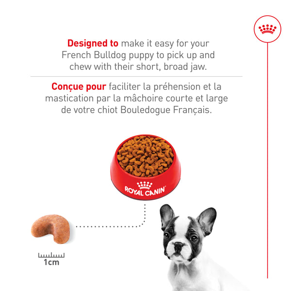 BOULEDOGUE FRANÇAIS CHIOT – nourriture sèche pour chiots