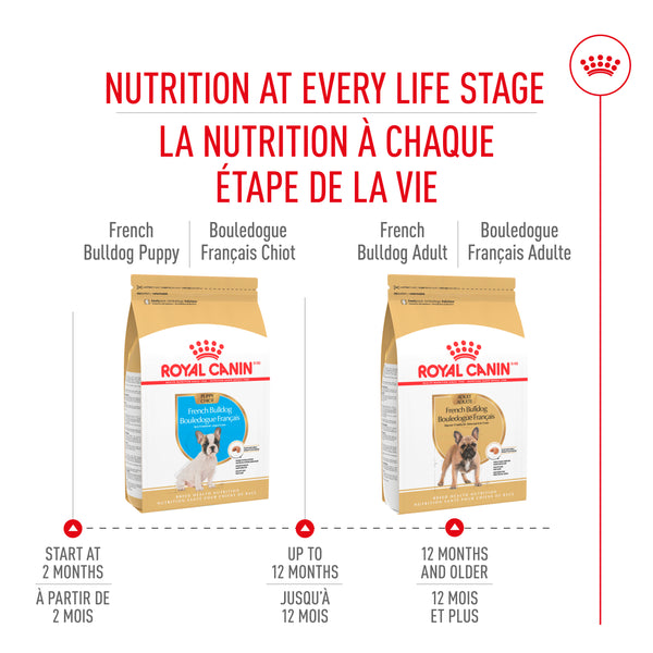BOULEDOGUE FRANÇAIS CHIOT – nourriture sèche pour chiots