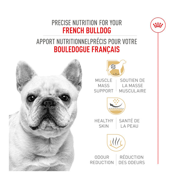 BOULEDOGUE FRANÇAIS ADULTE – nourriture sèche pour chiens