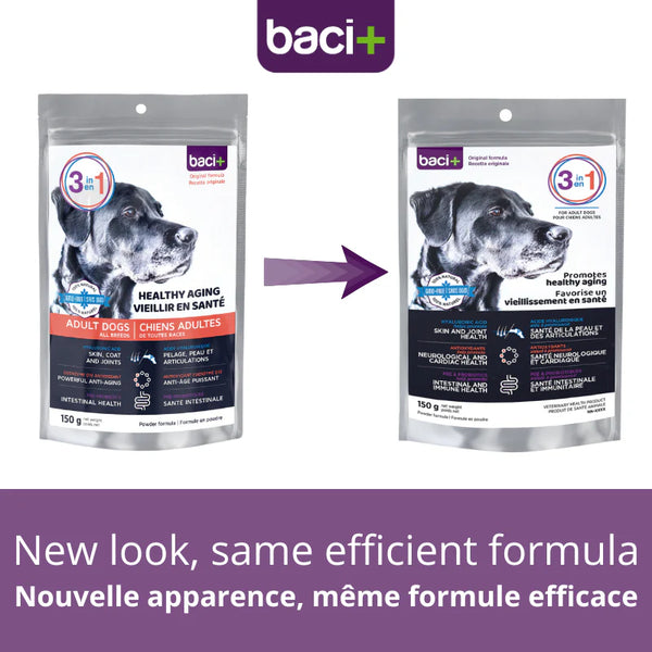 Solution 3 en 1 pour chien