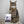 Solution 3 en 1 pour chat 50 g