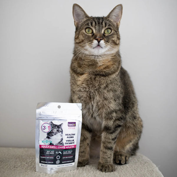 Solution 3 en 1 pour chat 50 g
