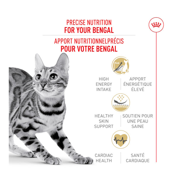 BENGAL Adulte – nourriture sèche pour chats, 3.2 kg, (7 lb)