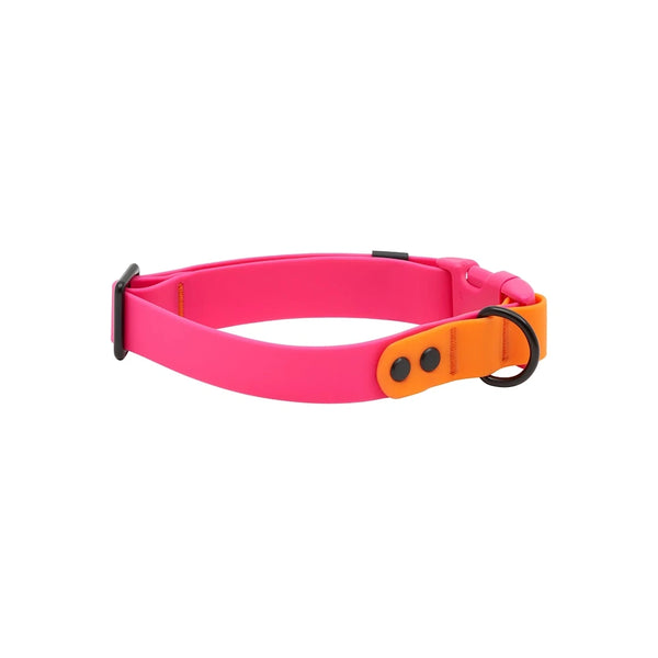 Collier imperméable pour chien Azalée/Orange