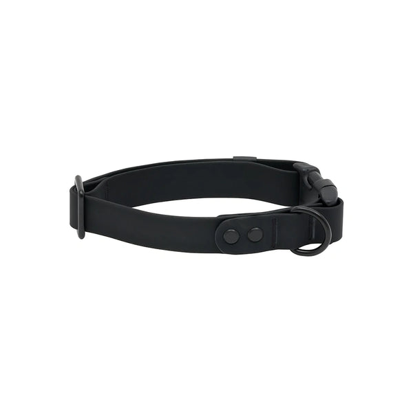 Collier imperméable pour chien Noir