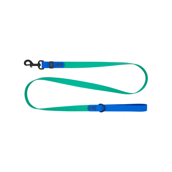 Laisse imperméable pour chien 5 pieds Perruche/Saphir
