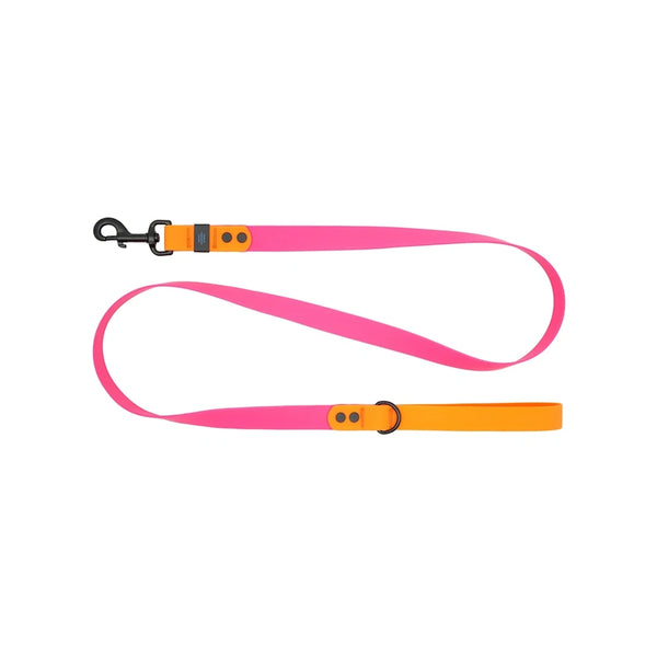 Laisse imperméable pour chien 5 pieds Azalée/Orange