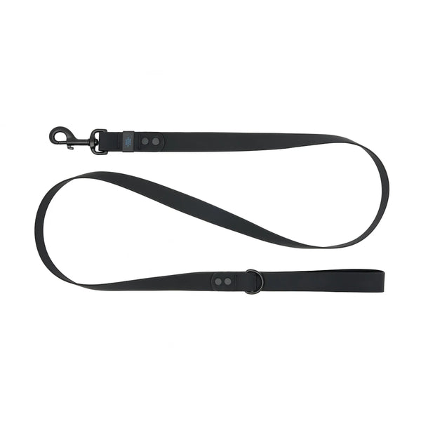 Laisse imperméable pour chien 5 pieds Noir