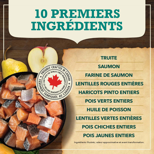 Nourriture sèche pour chien recette aux poissons d'eaux froides 11.4 kg