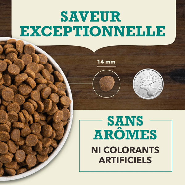 Nourriture sèche pour chien recette aux poissons d'eaux froides 11.4 kg