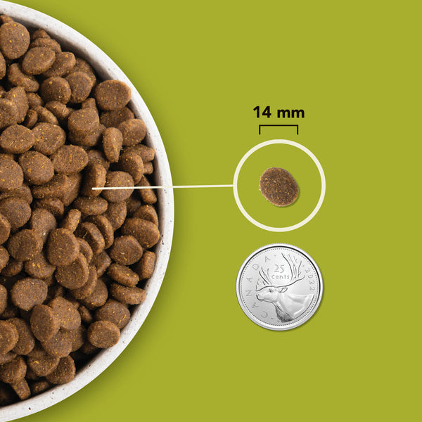 Nourriture pour chien Grasslands Protéines+