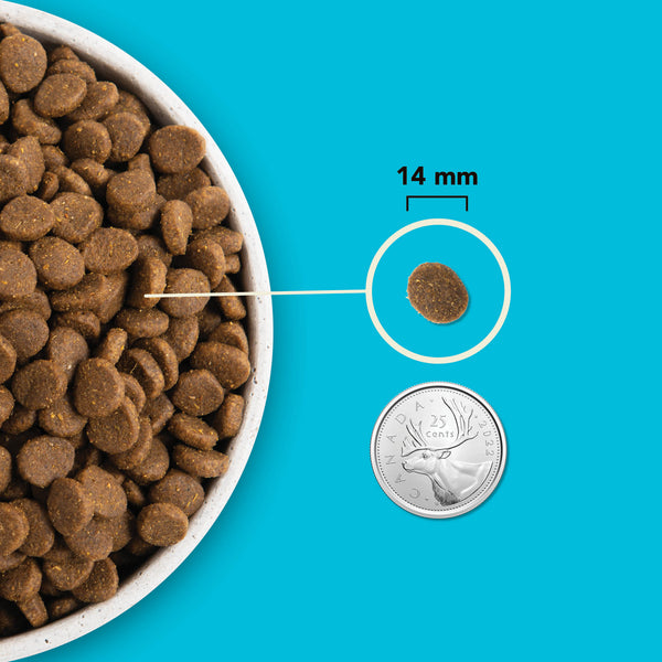 Nourriture pour chien Pacifica Protéines+