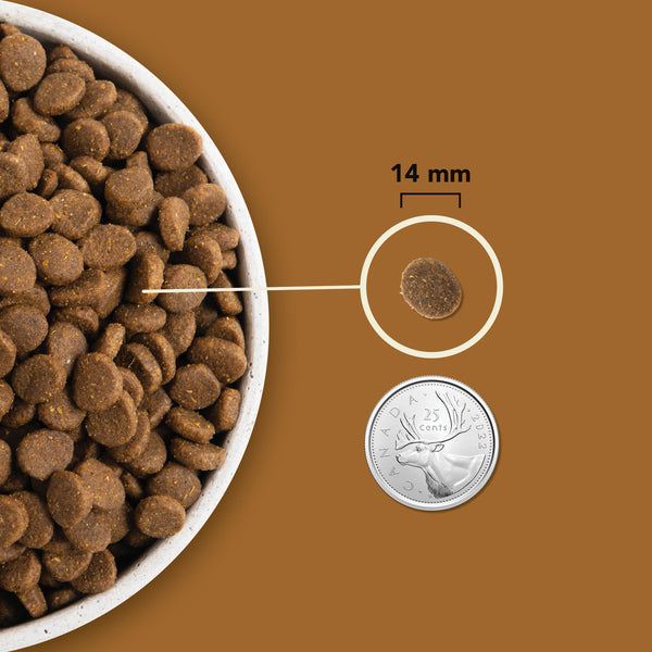 Nourriture pour chien Ranchlands Protéines+