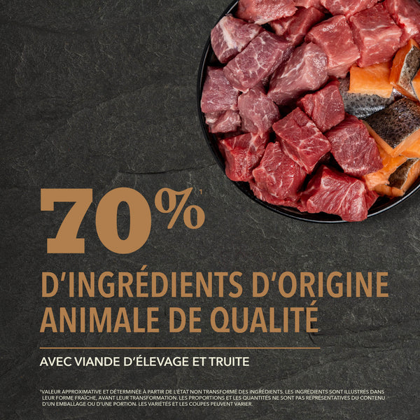 Nourriture pour chien Ranchlands Protéines+
