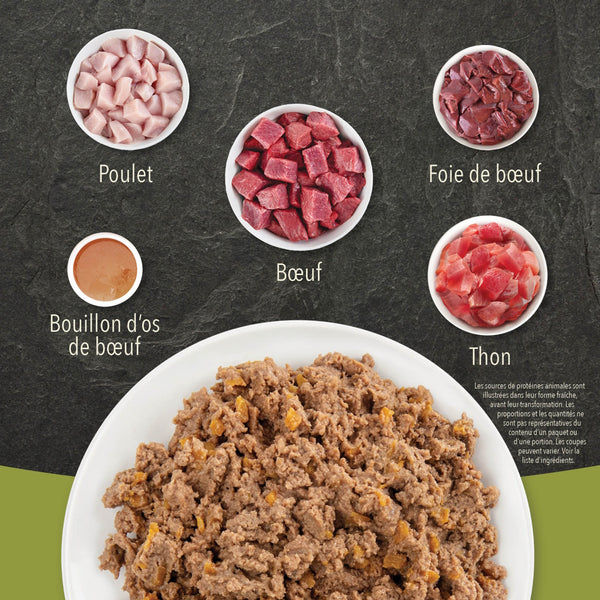 Nourriture pour chat bœuf avec bouillon d'os - Animatout