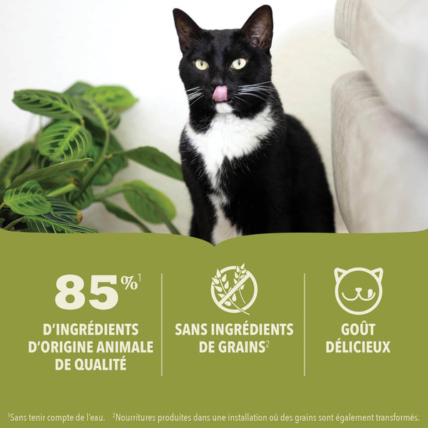 Nourriture pour chat poulet avec bouillon d'os