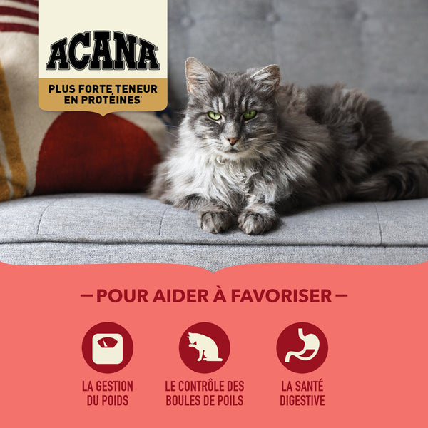 Nourriture pour chat d'intérieur