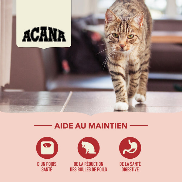 Nourriture pour chat Régal d'intérieur