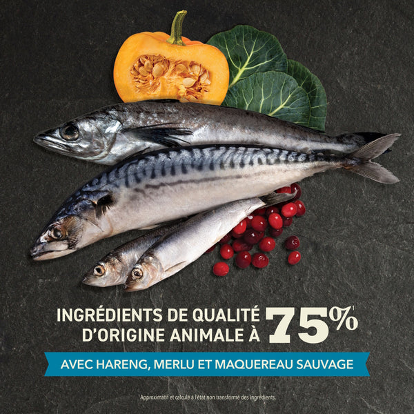 Nourriture pour chat Pacifica