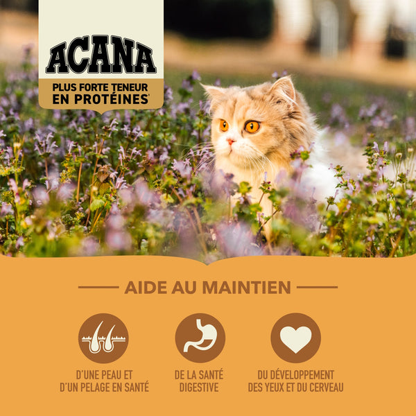 Nourriture pour chat Wild Prairie