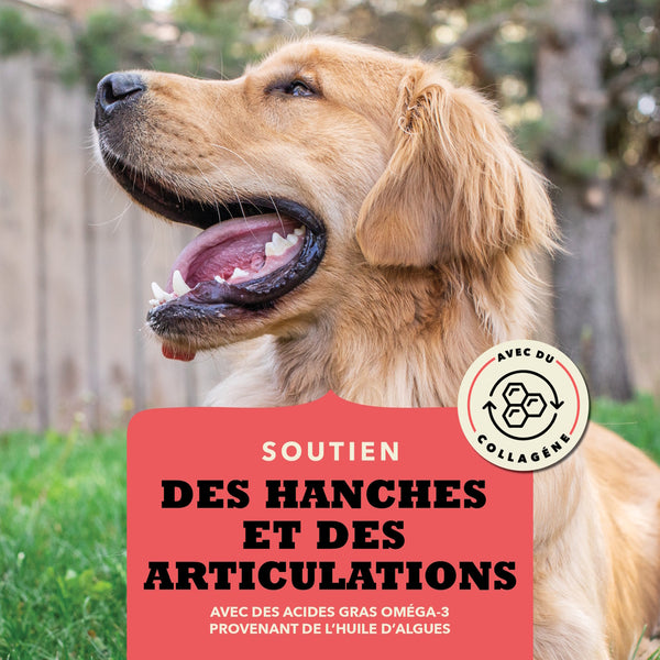 Gâteries pour chien Bouchées croquantes au boeuf 113 g