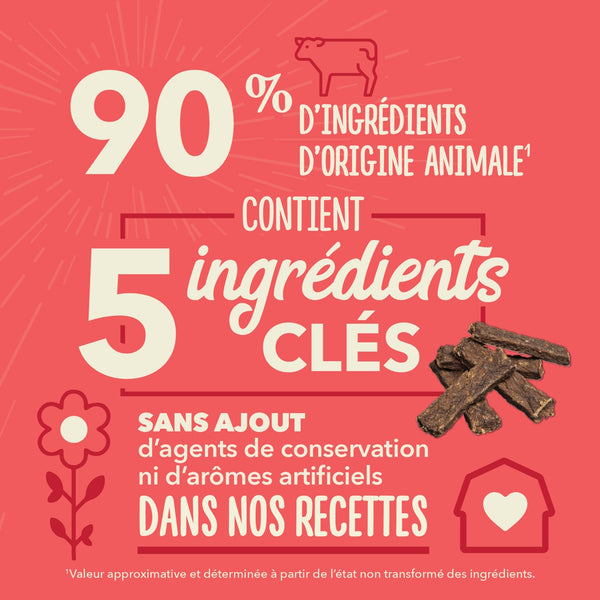 Gâteries pour chien Bouchées croquantes au boeuf 113 g