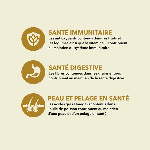 Nourriture pour chien Classique Prairie Poultry