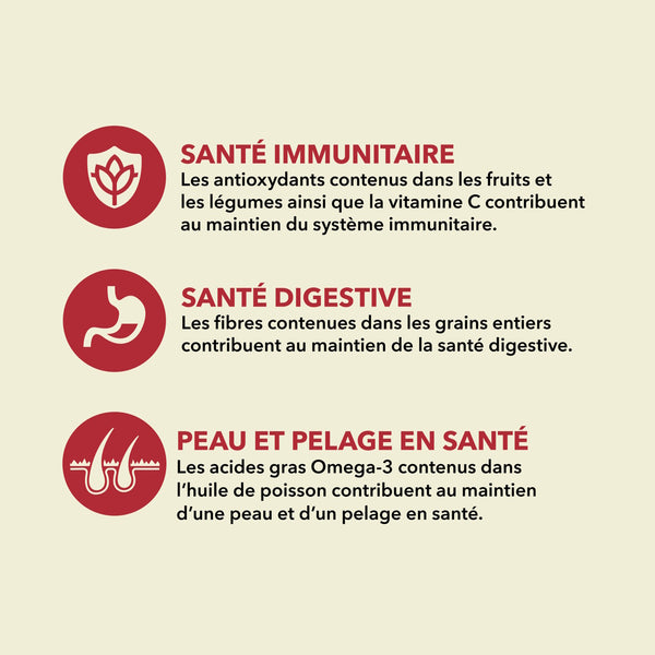 Nourriture pour chien Classique Viande Rouge