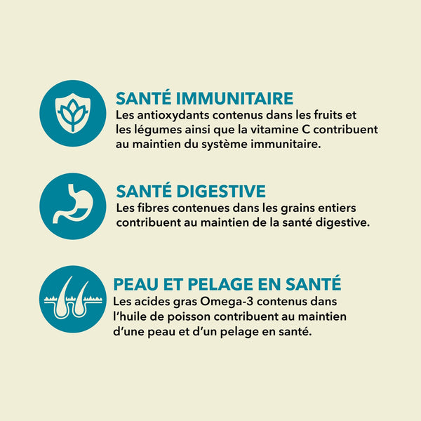 Nourriture pour chien Classique Wild Coast