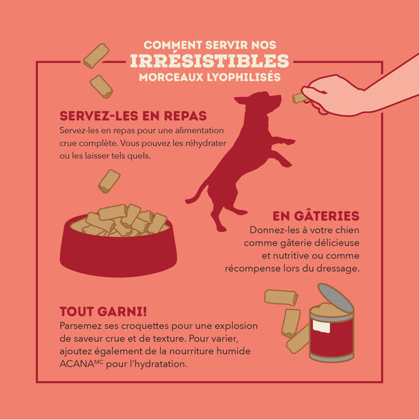 Nourriture pour chien lyophilisées morceaux au bœuf