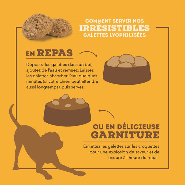 Nourriture pour chien lyophilisées au poulet - Galettes 397 g