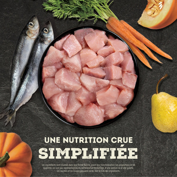 Nourriture pour chien lyophilisées à la dinde - Galettes 397 g
