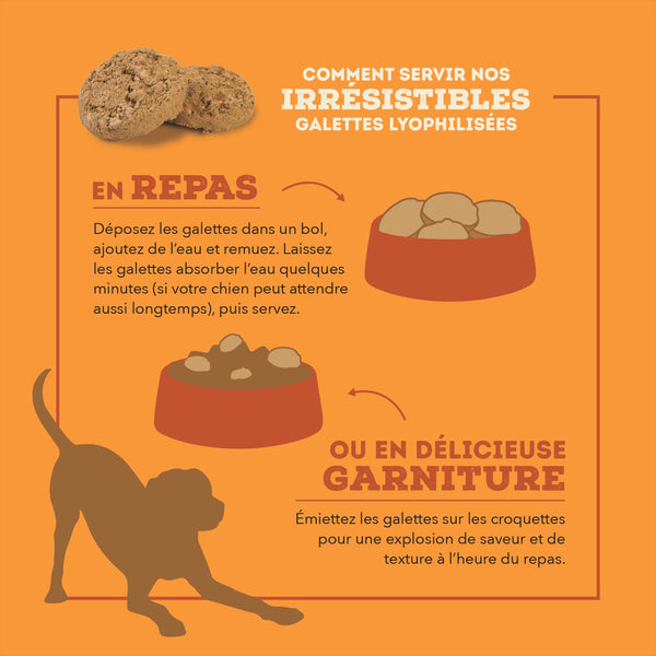 Nourriture pour chien lyophilisées à la dinde - Galettes 397 g