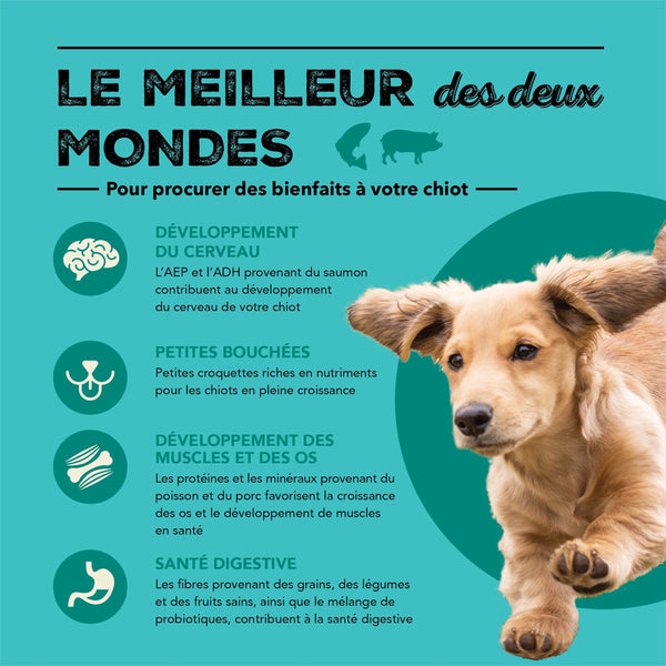 Nourriture pour chiot Grains santé  mer et champ 1,8 kg