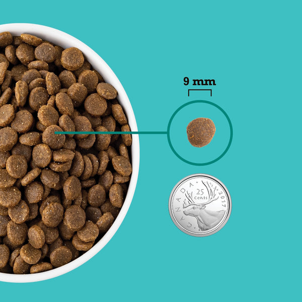 Nourriture pour chiot Grains santé  mer et champ 1,8 kg