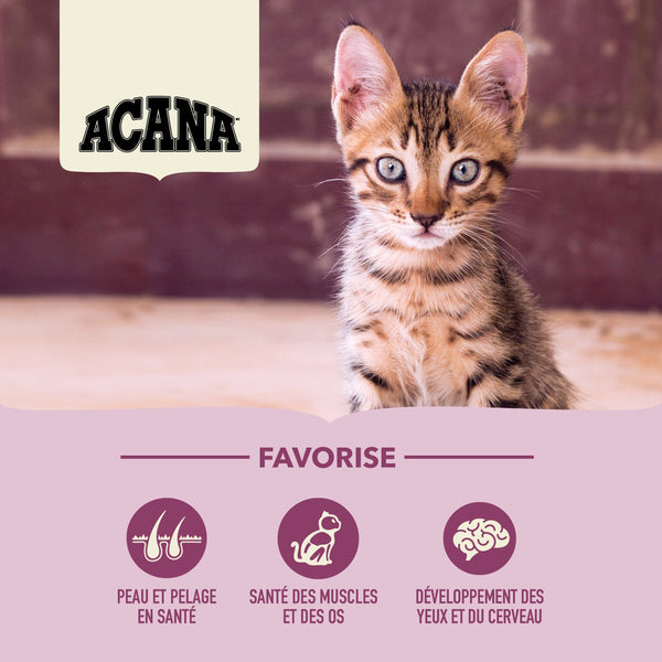Nourriture pour chaton Premier festin