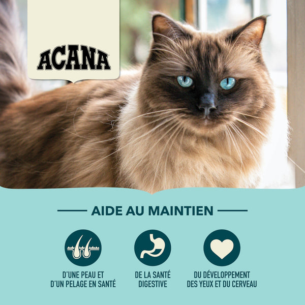 Nourriture pour chat Pêche abondante