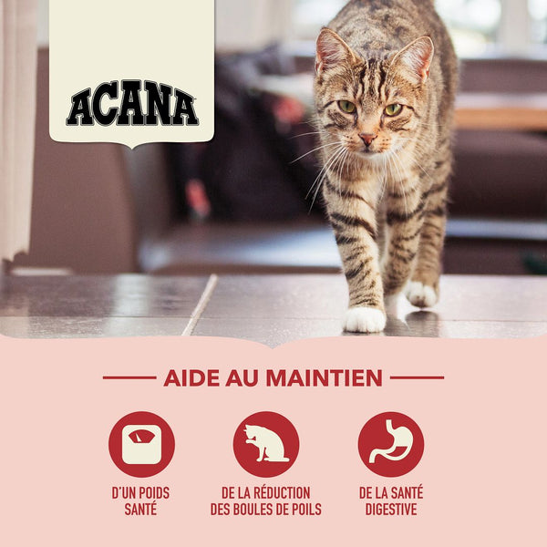 Nourriture pour chat Régal d'intérieur