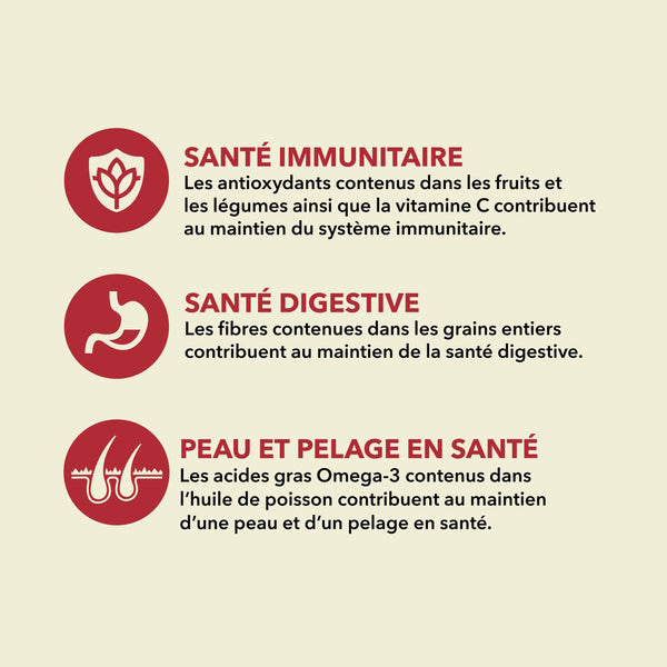Nourriture pour chien Classique Viande Rouge