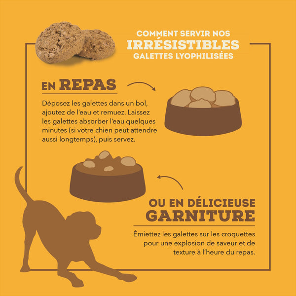 Nourriture pour chien lyophilisées au poulet - Galettes 397 g