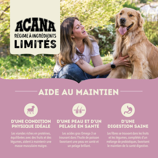 Nourriture pour chien Simple agneau avec pomme