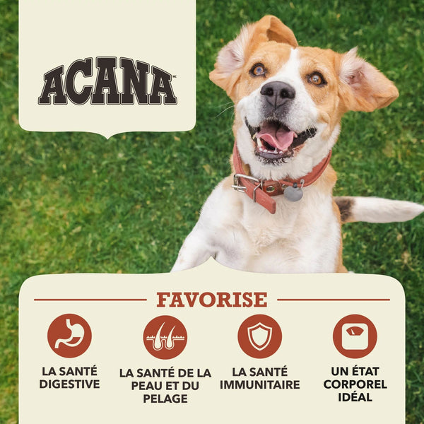 Nourriture sèche pour chien Simple Boeuf avec Citrouille 10.8 kg