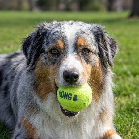 Jouet pour chien « Squeaker Air » balles grandes paquet de 2