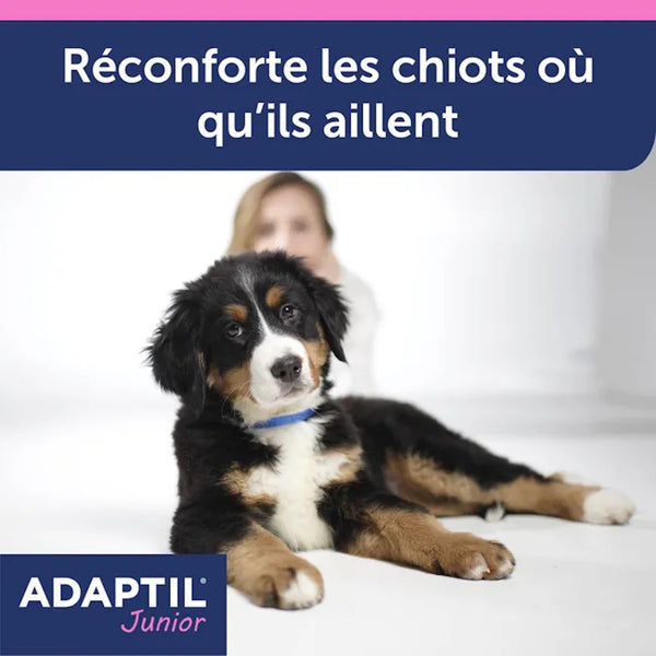 Adaptil collier calmant pour chien junior