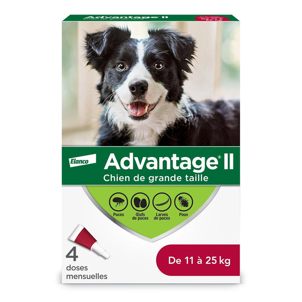 Traitement topique contre les puces et poux pour chien entre 11 et 25 kg 4 doses