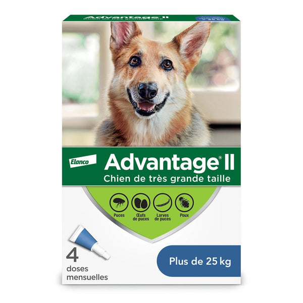 Traitement topique contre les puces et poux pour chien 25 kg et plus 4 doses