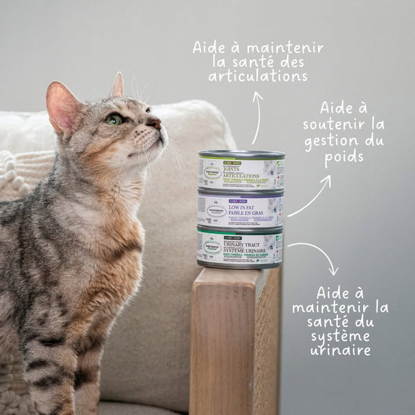 Nourriture en conserves pour chat / système urinaire, pâté de canard 5.5oz