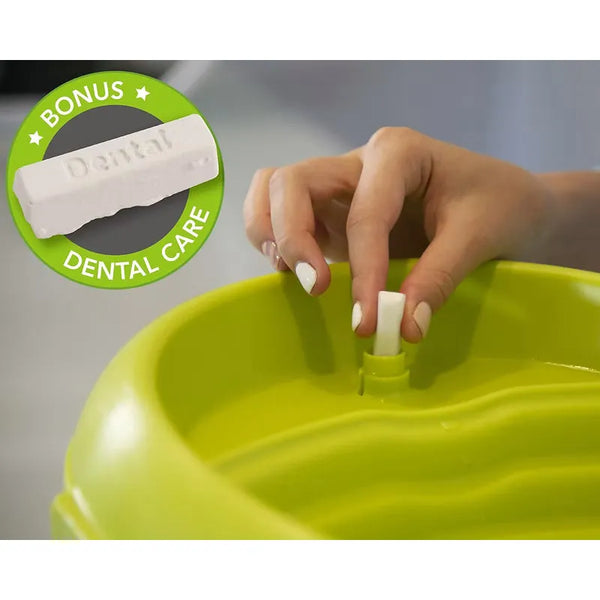 Fontaine / abreuvoir pour chien 6 litres noir et vert