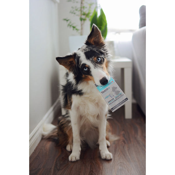 Baci+ buco+ pour moyen et grand chien 150mg format 35g